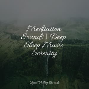 Meditation Sounds | Deep Sleep Music Serenity - Sleep Recording Sounds