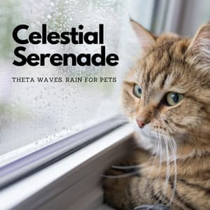 Celestial Serenade: Theta Waves, Rain for Pets - Sonotherapy