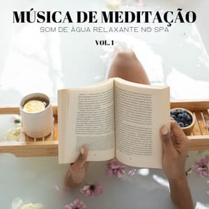 Música De Meditação: Som De Água Relaxante No Spa, Vol. 1 - #Calmante