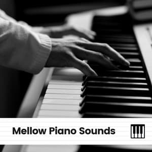 Mellow Piano Sounds - PianoDreams