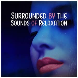 Surrounded by the Sounds of Relaxation - Collection for Massage, Spa, Meditation, Yoga & Sleep - Relaxing Distraction Therapy Zone