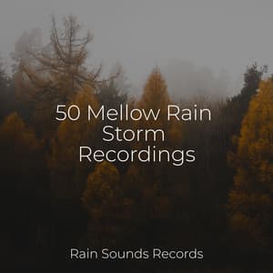 50 Mellow Rain Storm Recordings - Relaxing Music
