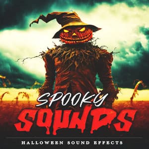 Spooky Sounds - Halloween Sound Effects