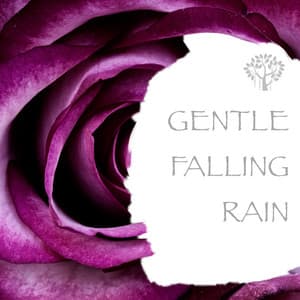 Gentle Falling Raing - Natural Spirit
