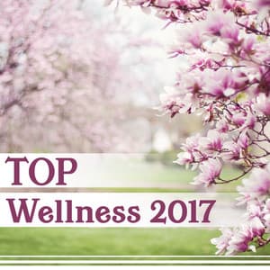 TOP Wellness 2017 – Total Relaxation Sounds for Spa, Massage, Yoga Exercises, Feel Inner Beauty, Healing Touch - Wellness Sounds Relaxation Paradise