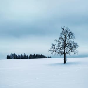 12 Hour: Frozen Landscapes - White Noise for Babies