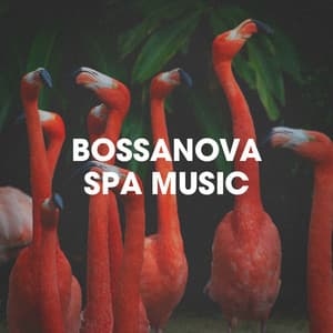 Bossanova Spa Music - The Best Of Chill Out Lounge
