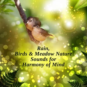 Rain, Birds & Meadow Nature Sounds for Harmony of Mind: 7 Chakra Cleansing Opening, Tibetan Meditation - Chakra Balancing Music Oasis