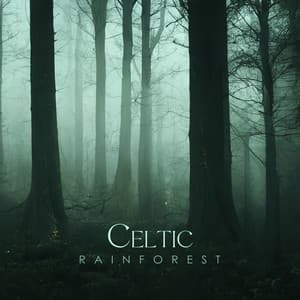 Celtic Rainforest - Scoty Hukbey