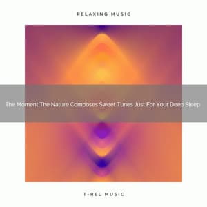 2021 New: The Moment The Nature Composes Sweet Tunes Just For Your Deep Sleep - Baby White Noise Machine