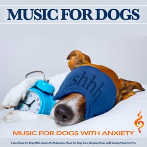 Music For Dogs: Calm Music For Dogs With Anxiety, Pet Relaxation, Music For Dogs Ears, Sleeping Music and Calming Music For Pets - Music For Dogs