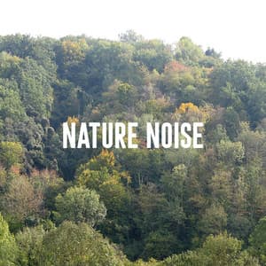 Nature Noise - Rain Sounds Lab