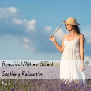 Beautiful Nature Sound Soothing Relaxation Vol. 1 - Baby Lullaby