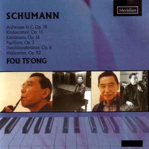 Schumann: Piano Works - Robert Schumann