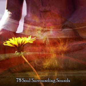 78 Soul Surrounding Sounds - Study Concentration