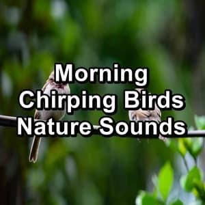 Morning Chirping Birds Nature Sounds - Nature Bird Sounds