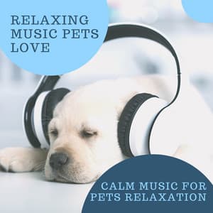 Relaxing Music Pets Love - Calm Music for Pets Relaxation - Ambient Sleep Music