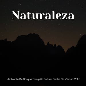 Naturaleza: Ambiente De Bosque Tranquilo En Una Noche De Verano Vol. 1 - Sonidos Del Bosque