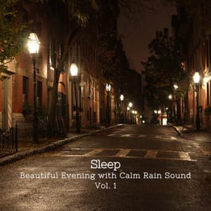 Sleep: Beautiful Evening with Calm Rain Sound Vol. 1 - Relaxing Spa Music