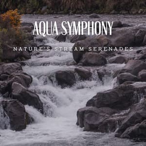 Aqua Symphony: Nature's Stream Serenades - Aquaplasma