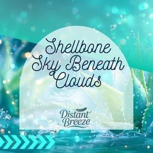 Shellbone Sky Beneath Clouds - Distant Breeze