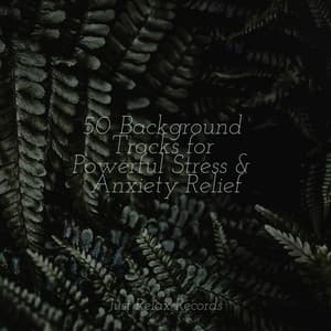 50 Background Tracks for Powerful Stress & Anxiety Relief - Binaural Beats Brainwave Entrainment