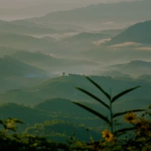 Zenith Zen - Floating Melodies