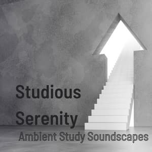 Studious Serenity: Ambient Study Soundscapes - Zen Music Academy