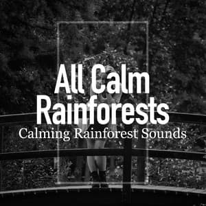 All Calm Rainforests - Calming Rainforest Sounds