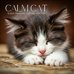 Calm Cat Sleep Training and Relaxation - Cats Music Zone