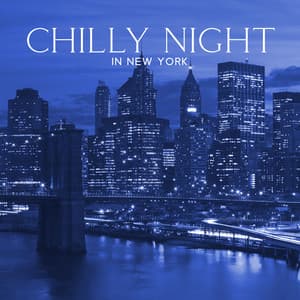 Chilly Night in New York - Soft Jazz Music