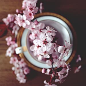 Calm White Noise for Sleep: Hypnotic Sounds for Falling Asleep - ASMR Denmark