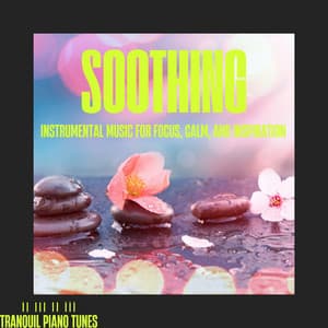 Soothing Instrumental Music for Focus, Calm, and Inspiration - Tranquil Piano Tunes