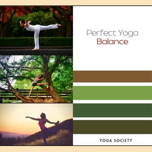 Perfect Yoga Balance - Yoga Society