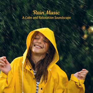 Rain Music: A Calm and Relaxation Soundscape - Rain Sounds Factory STHLM