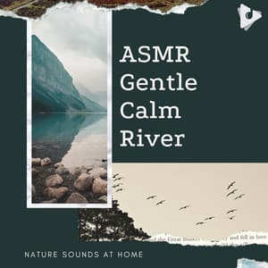 ASMR Gentle Calm River - Nature Sounds At Home