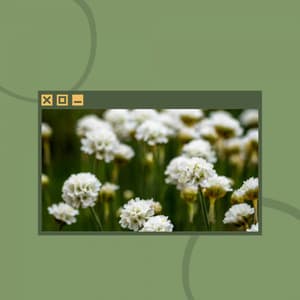 Personal Wellness - Fabulous - Coffee Shop Piano