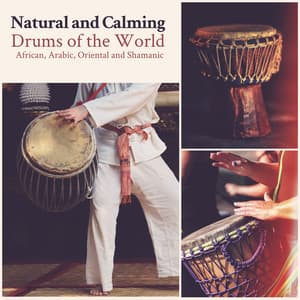 Natural and Calming Drums of the World: African, Arabic, Oriental and Shamanic - Natural Zen Meditation White Noise