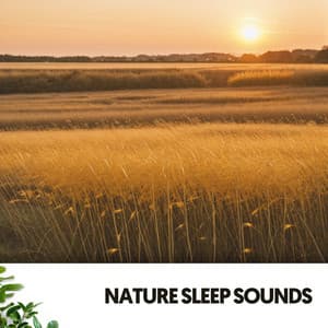 Sonidos de la Naturaleza: Armonías de lo salvaje - Ruido Blanco Hart