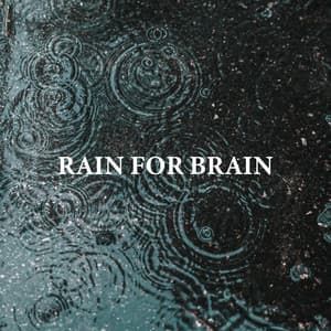 Rain for Brain: Soothing Rain Sounds for Studying - Brain Study Music Guys