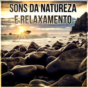 Sons da Natureza e Relaxamento: Meditação, Bem Estar e Musicas para Relaxar, Yoga, Reiki, Sono, Zen, Massagem e Estudam, Sons de Cura - Música de Yoga Relaxamento