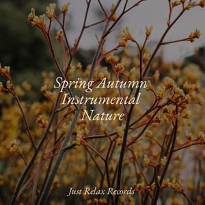 Spring Autumn Instrumental Nature - Deep Sleep Relaxation