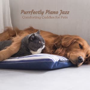 Purrfectly Piano Jazz: Comforting Cuddles for Pets - Jazz Lounge Radio