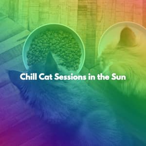 Chill Cat Sessions in the Sun - Book Shop Music