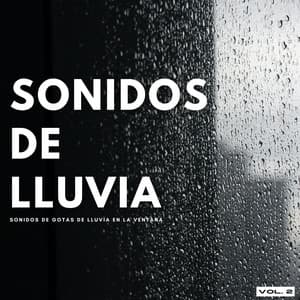 Sonidos De Lluvia: Sonidos De Gotas De Lluvia En La Ventana Vol. 2 - Llovido