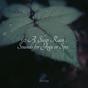 50 A Sleep Rain Sounds for Yoga or Spa - White Noise Sound Garden