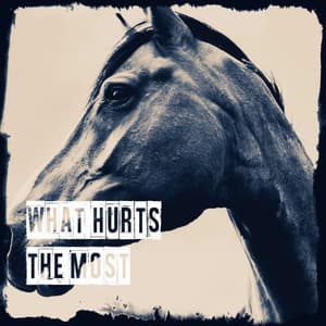 What Hurts the Most - The Country Music Heroes