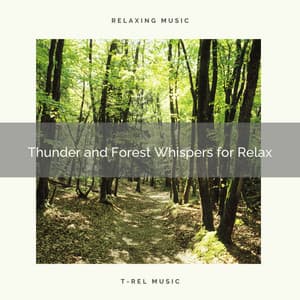 Thunder and Forest Whispers for Relax - Gentle Rain Makers