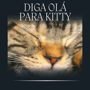 Diga Olá para Kitty - Musica para Gatos
