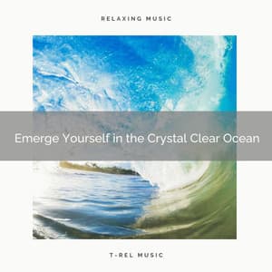 2020 Best: Emerge Yourself in the Crystal Clear Ocean - Calming Waves Consort